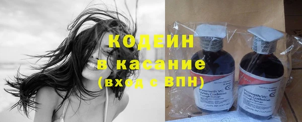 тгк Бородино