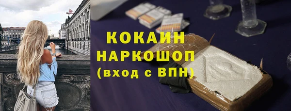 эйфоретик Богданович