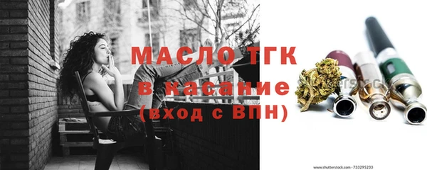 тгк Бородино