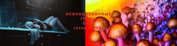 тгк Бородино