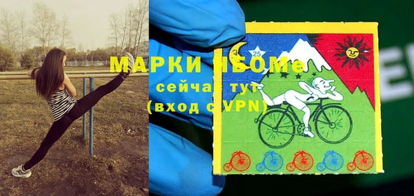 шишки Богородск