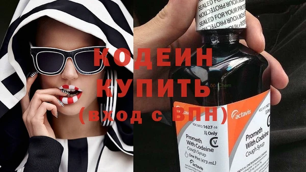 эйфоретик Богданович