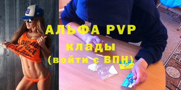 тгк Бородино