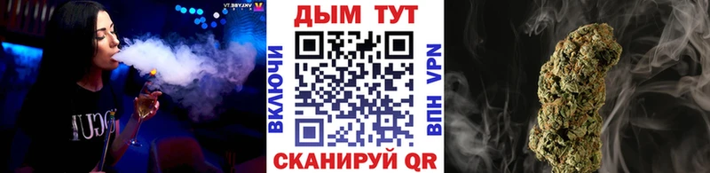 Канабис гибрид  Кирс 